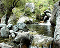 Rocas, agua y vegetación en un arroyo en Merlo San Luis