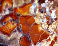 Textura de minerales rojizos