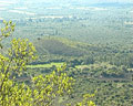 Vista del Valle del Conlara con rama en primer plano