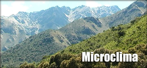 Título: Microclima con un paisaje que muestra la ladera de tres sierras con diferentes alturas y colores