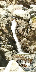 Imagen de la caida de agua de Cascada Olvidada 