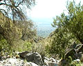 Vista panorámica de Merlo dede el Cerro de la Cruz